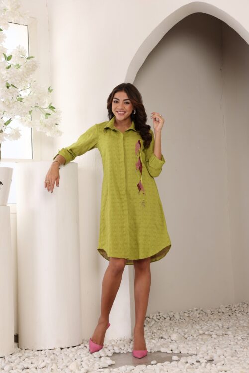 Apple shaped Cotton Textured Lined Dress